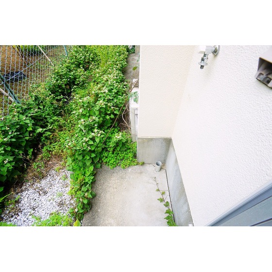 その他設備　洗濯機置き場あり