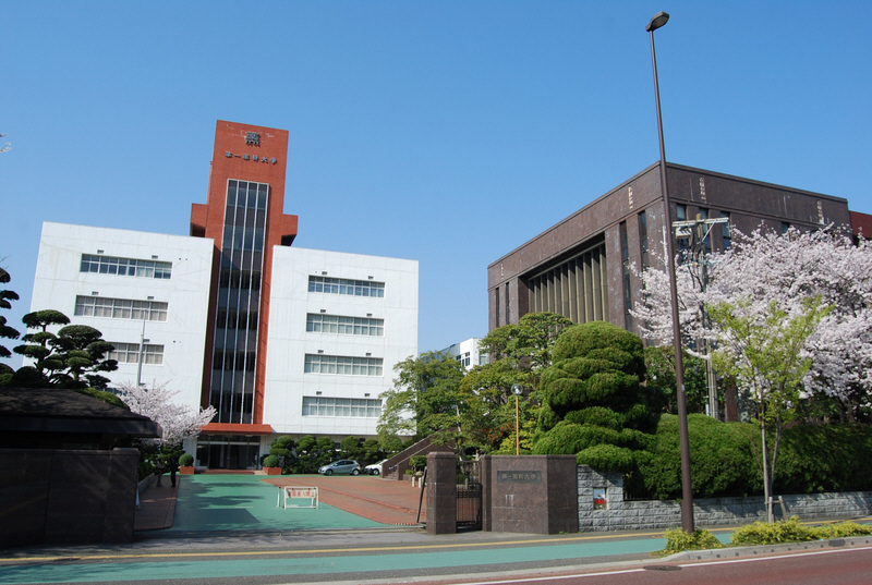 大学・短大　第一薬科大学（大学・短大）まで414m