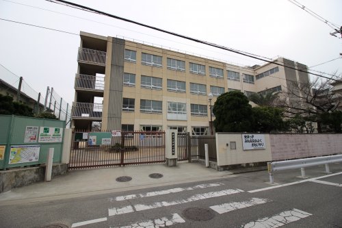 小学校　堺市立安井小学校（小学校）まで246m