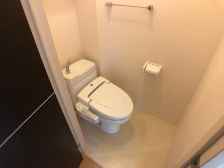 トイレ　202号室の写真です。左右反転