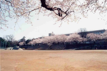 中学校　川口市立芝中学校（中学校）まで583m