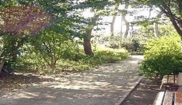 公園　まつぼっくり緑地（公園）まで80m