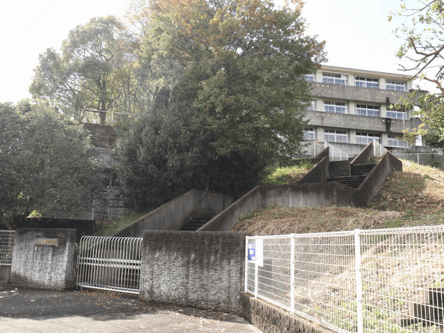 小学校　厚木市立上依知小学校（小学校）まで332m