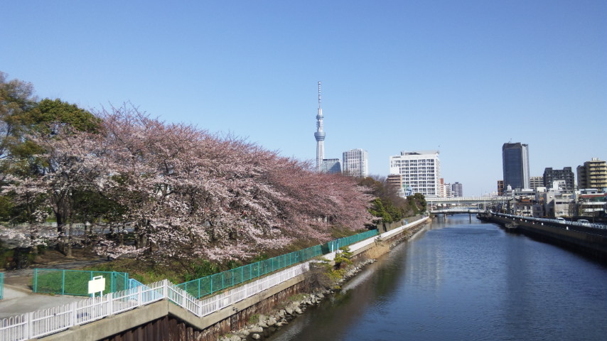 公園　猿江恩賜公園（公園）まで300m