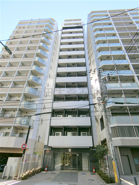 建物外観　2013年6月築　RC鉄筋コンクリート造地上地上15階建て1