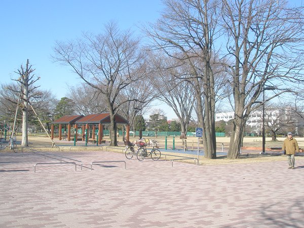 公園　武蔵野中央公園（公園）まで883m