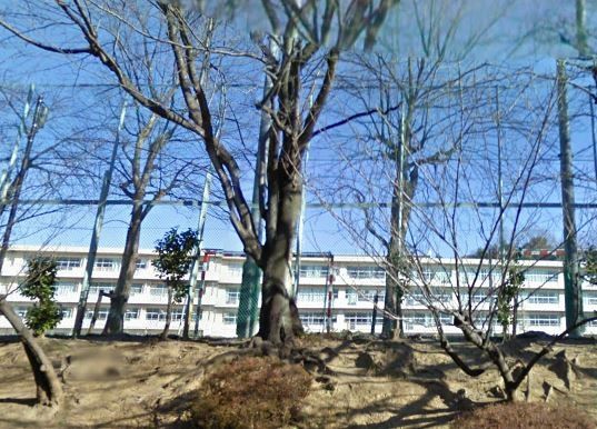 その他　町田市立 鶴川第二中学校（その他）まで3518m