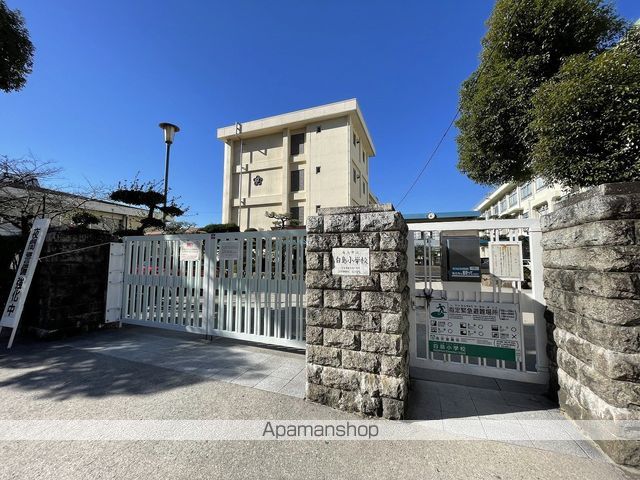 小学校　白島小学校（小学校）まで809m