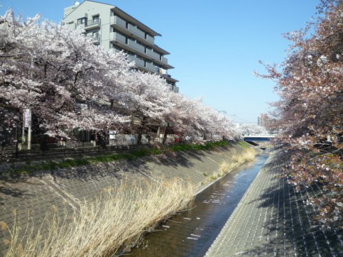 その他　乞田川（その他）まで460m