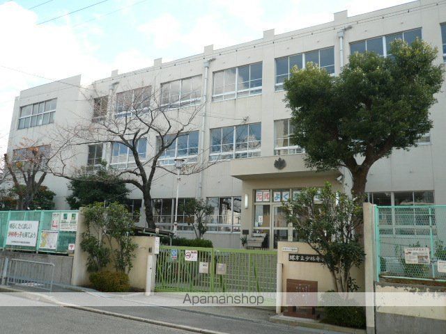 小学校　堺市立小学校少林寺小学校（小学校）まで509m