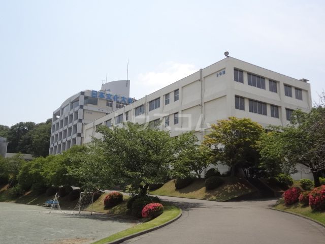 大学・短大　日本文化大学（大学・短大）まで699m
