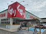 ドラックストア　スギ薬局　姫路中央店（ドラッグストア）まで195m