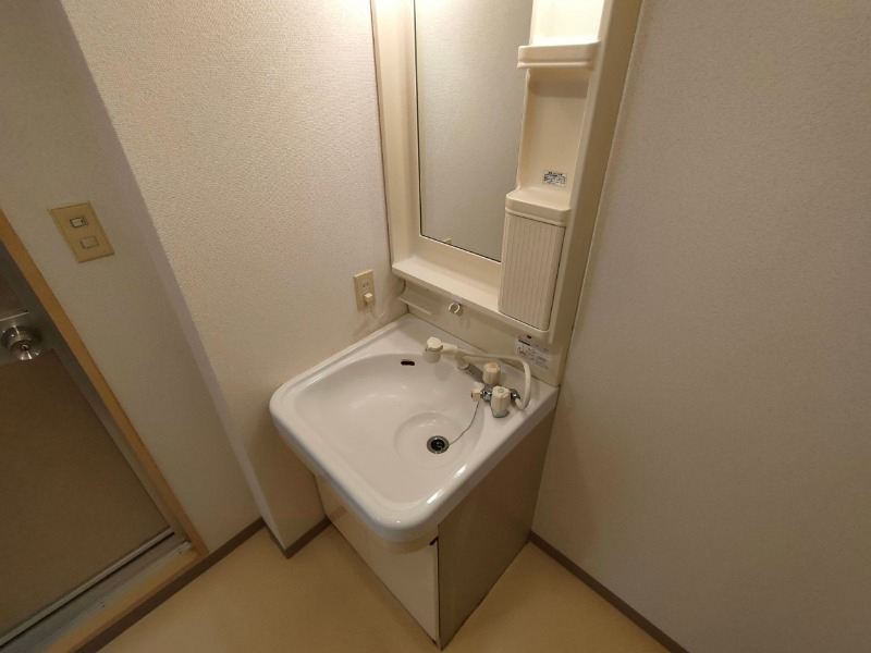 洗面設備　シャンプードレッサー。身支度はここでばっちりですね。