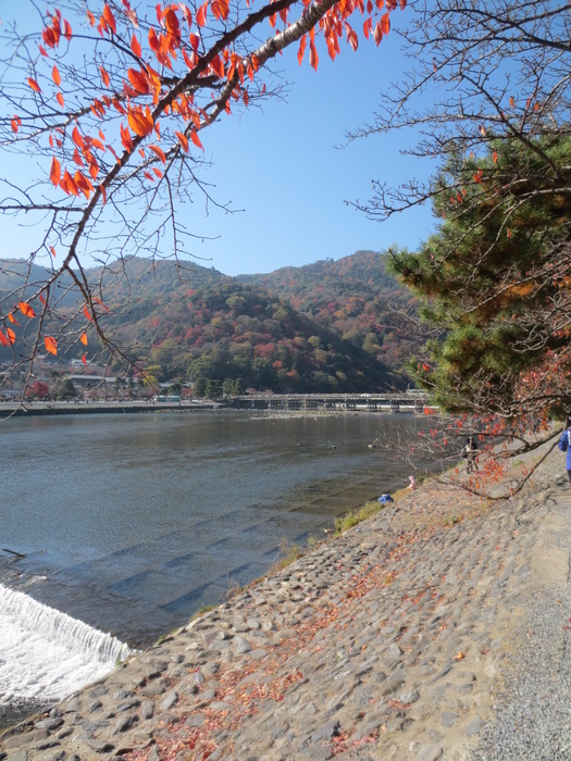その他　嵐山（その他）まで1120m