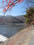 その他　嵐山（その他）まで1120m