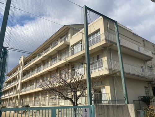 小学校　神戸市立灘小学校（小学校）まで669m