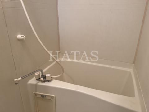 バス・シャワールーム　同物件別部屋です