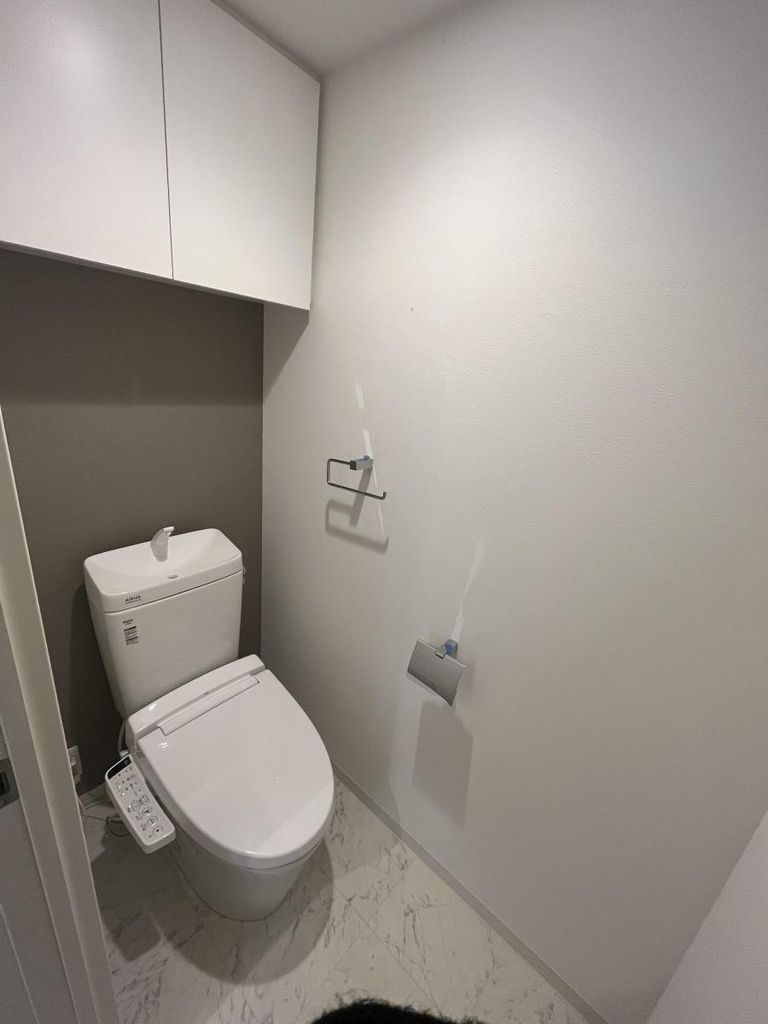 ブランスタイル博多314のトイレ写真