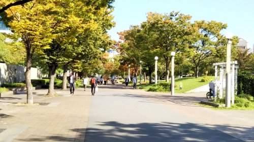 公園　扇町公園（公園）まで378m