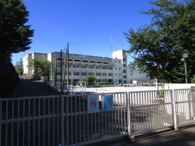中学校　川崎市立平中学校（中学校）まで1187m