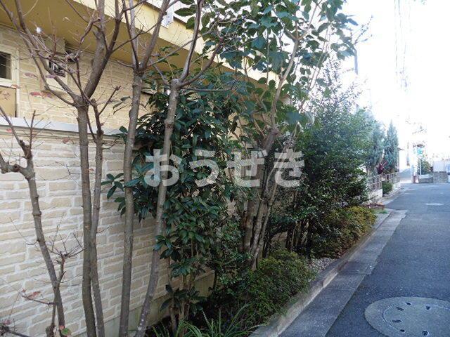 庭　植栽：2016年2月撮影