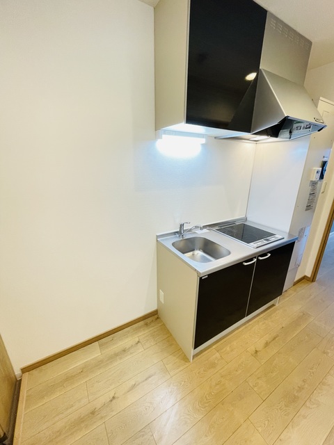 DAP正雀のキッチン写真