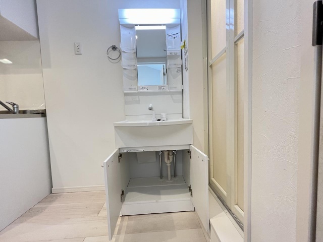 洗面設備　＊３０２号室写真です。