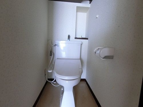 トイレ　トイレも気になるポイント
