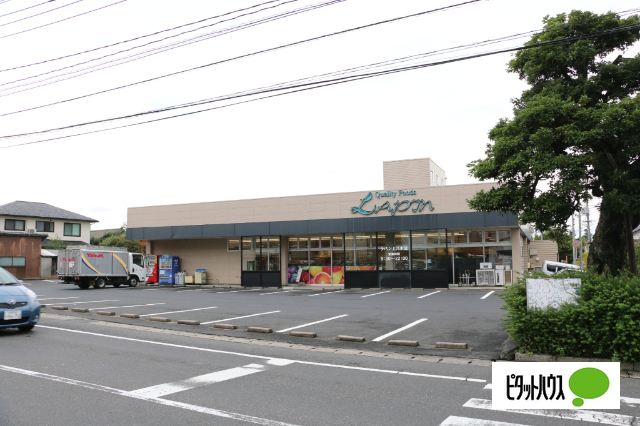 スーパー　ラパン上乃木店（スーパー）まで1019m