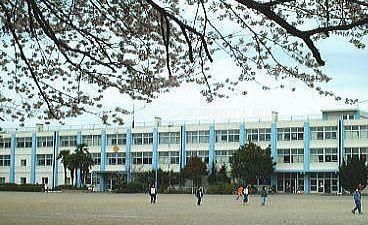 小学校　★大和市立草柳小学校★（小学校）まで236m