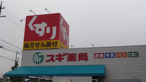 ドラックストア　スギ薬局 上地店（ドラッグストア）まで960m