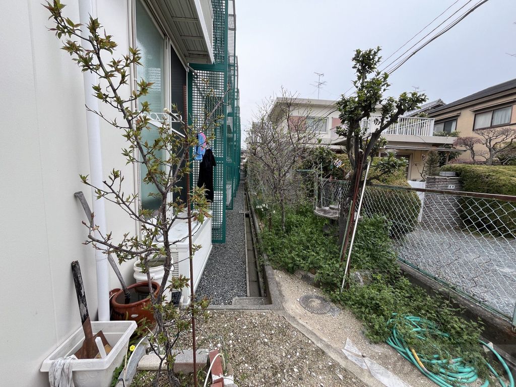 庭　庭