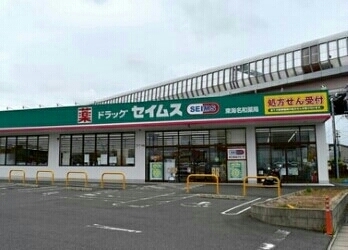 【半田市船入町のアパートのドラックストア】