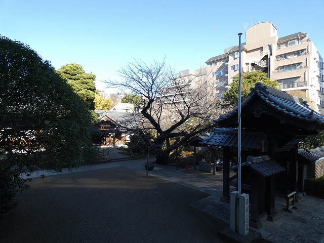 眺望　眺望
