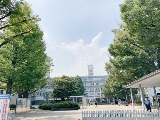 【横浜市神奈川区中丸のマンションの大学・短大】