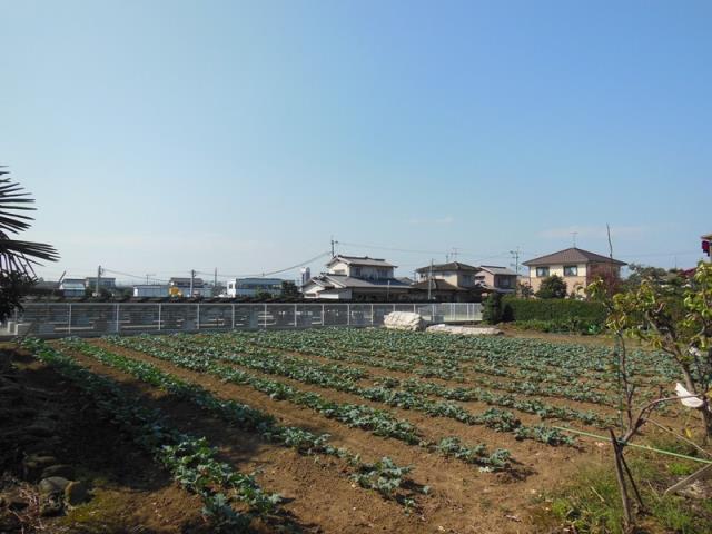 その他　新鮮市場森店（その他）まで2189m