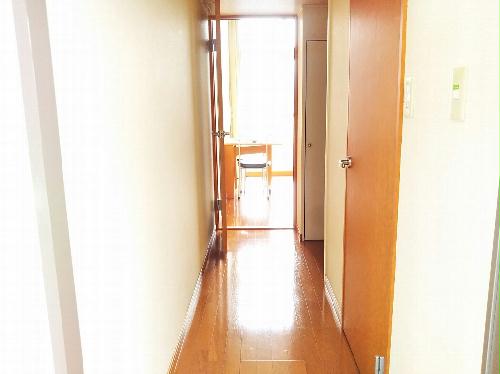 玄関　同タイプの写真です。仕様が異なる場合があります。