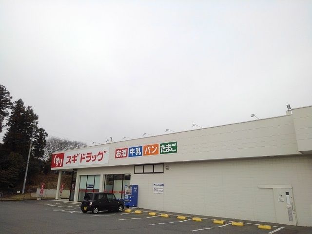 ドラックストア　スギドラッグ安中店（ドラッグストア）まで300m