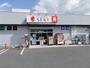 ドラックストア　ドラッグストアセキ羽村店（ドラッグストア）まで565m