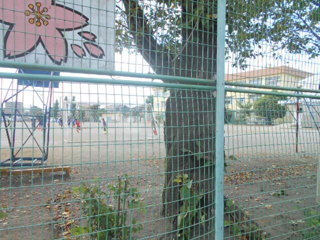 小学校　座間市立座間小学校（小学校）まで531m