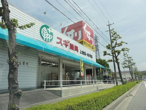 ドラックストア　スギ薬局 上地店（ドラッグストア）まで424m