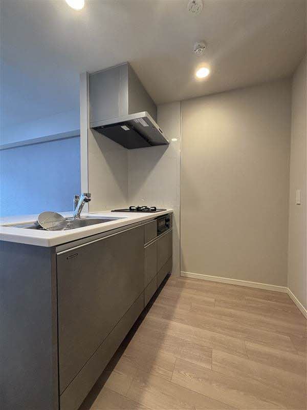 その他部屋・スペース　システムキッチンにはガスコンロが完備されており、忙しい日常…