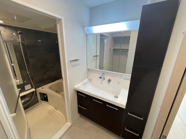 洗面設備　※同施工会社のイメージ写真※