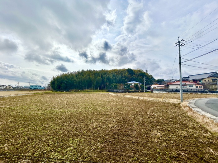 眺望　同系タイプ