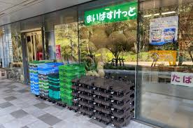 スーパー　まいばすけっとしながわ区民公園北店（スーパー）まで163m