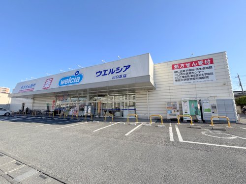 ドラックストア　ウエルシア川口芝店（ドラッグストア）まで544m