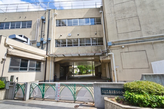 小学校　新宿区立落合第五小学校（小学校）まで279m