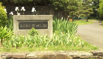 公園　都立野川公園入口（公園）まで37m