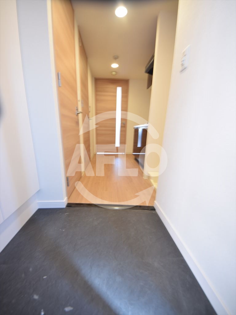 玄関　ララプレイス難波メティス　玄関