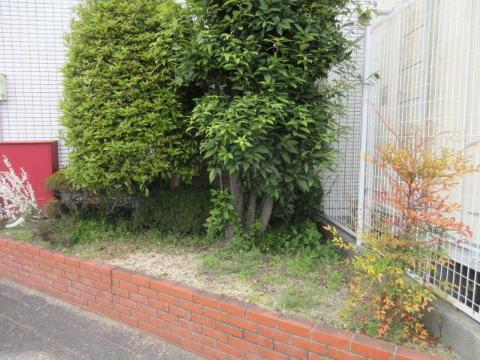 庭　庭（イメージ）